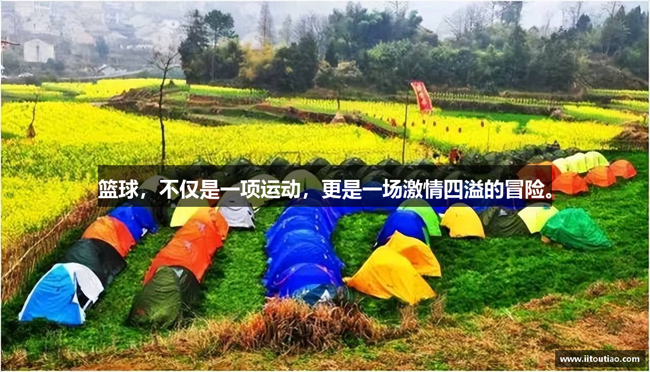 篮球，不仅是一项运动，更是一场激情四溢的冒险。